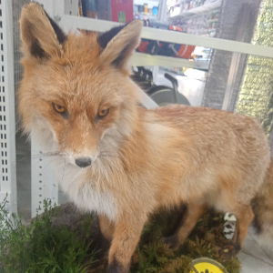 Сергей Иванов | Сетка — социальная сеть от hh.ru