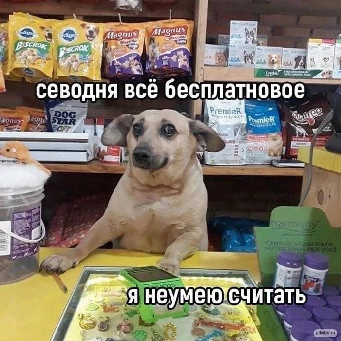 А это мой наш #mood сегодня 
не могу я без публикации мема после каждого поста* | Сетка — социальная сеть от hh.ru