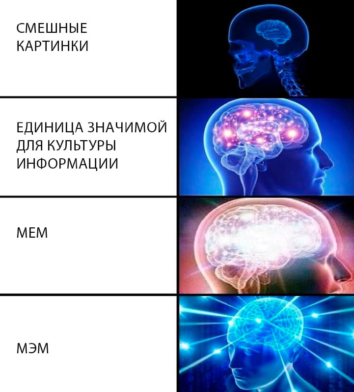 Мемы настолько прекрасная сущность, что даже "мэм" стал мемом. | Сетка — социальная сеть от hh.ru