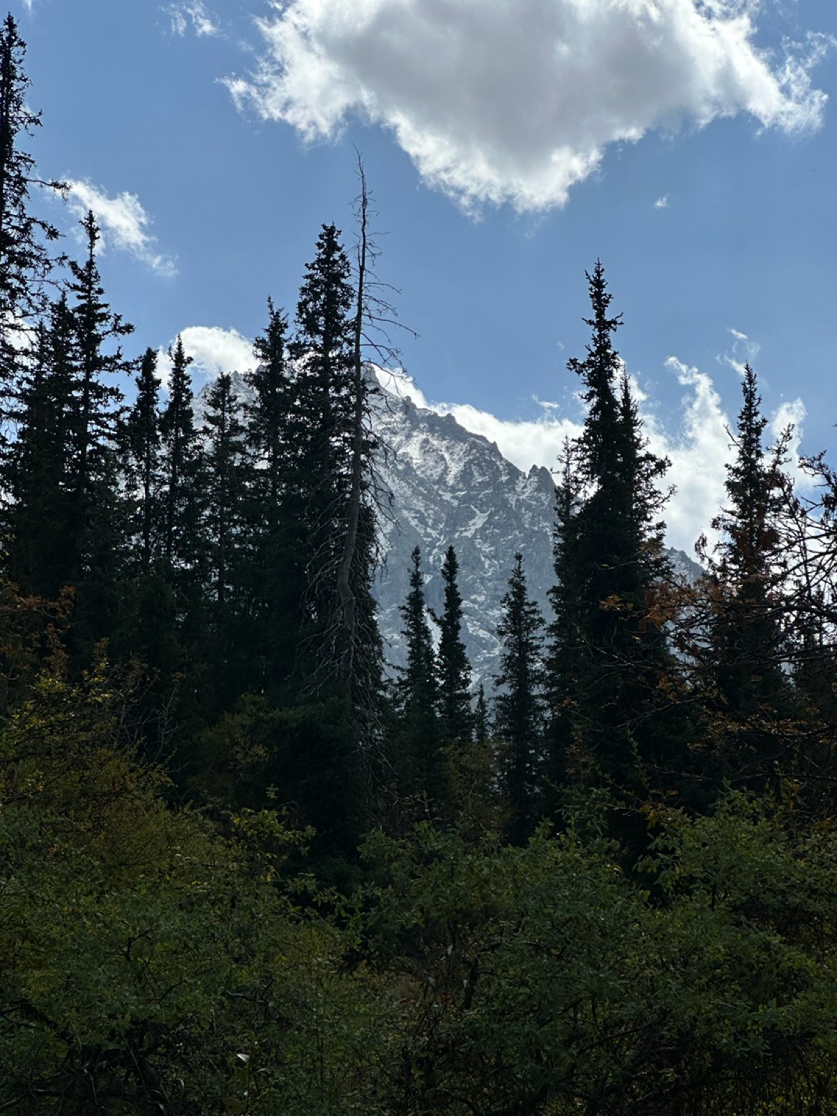 Лучшее, что можно сделать перед работой — прогуляться по осенним горам 💔
📍Ala-archa, Kyrgyzstan
#travel #it #qualityassurance #kyrgyzstan | Сетка — социальная сеть от hh.ru