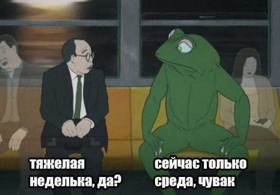 Wednesday 🐸 | Сетка — социальная сеть от hh.ru