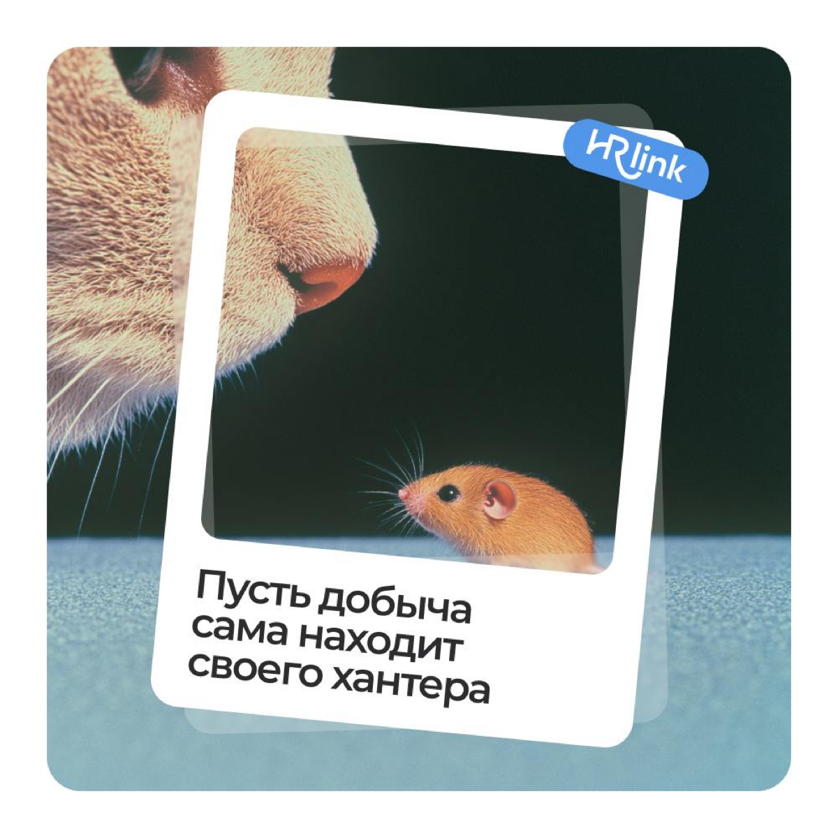 🎉Сегодня отмечаем День HR-менеджера
Когда-то я мечтал, чтобы каждый третий HR узнал обо мне и HRlink | Сетка — социальная сеть от hh.ru