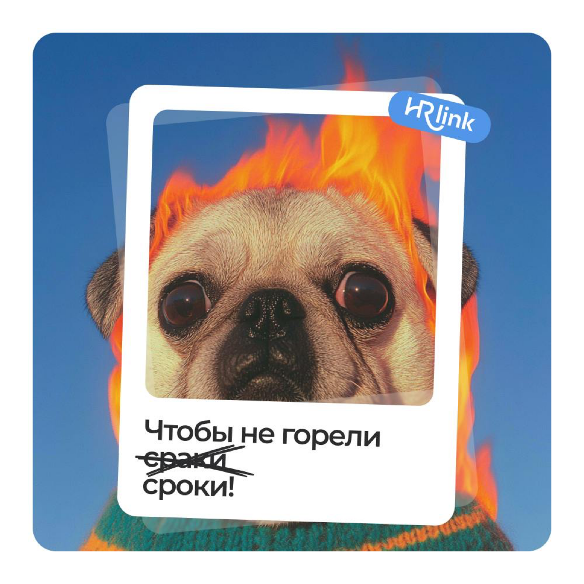 🎉Сегодня отмечаем День HR-менеджера
Когда-то я мечтал, чтобы каждый третий HR узнал обо мне и HRlink | Сетка — социальная сеть от hh.ru