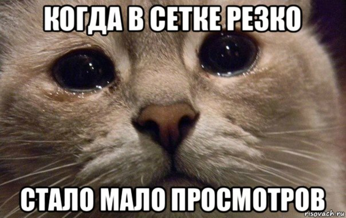 Почему так? 😿 | Сетка — социальная сеть от hh.ru