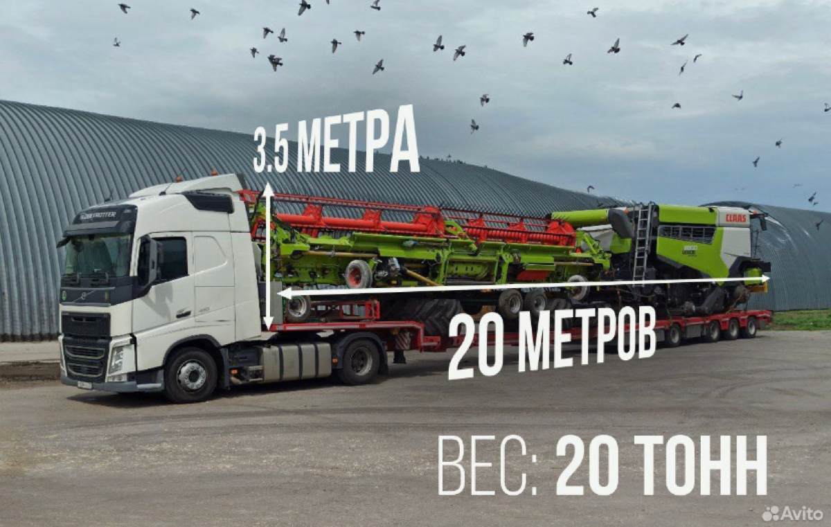 Пришла и моя очередь самопрезентации!😅
Всем доброго времени суток👋
Меня зовут Николай, и я являюсь ведущим специалистом в данной области | Сетка — социальная сеть от hh.ru