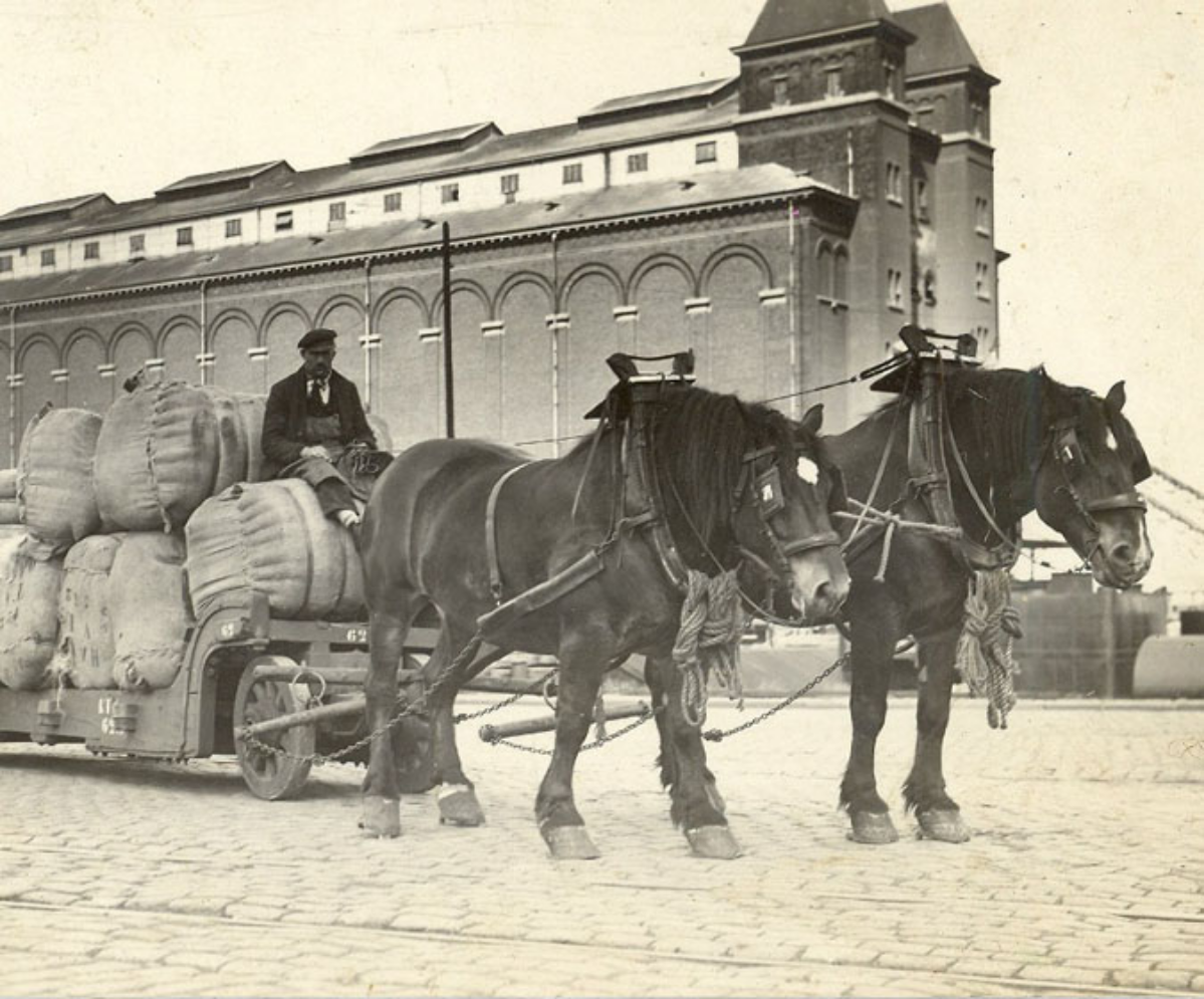 Как изменилась профессия логиста
Найти хорошего логиста для дистрибьюторов, компаний FMCG, производителей, которые сами доставляют свою продукцию важная задача, которая решается длительными поисками, ... | Сетка — социальная сеть от hh.ru