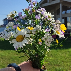 Алена Раньжина