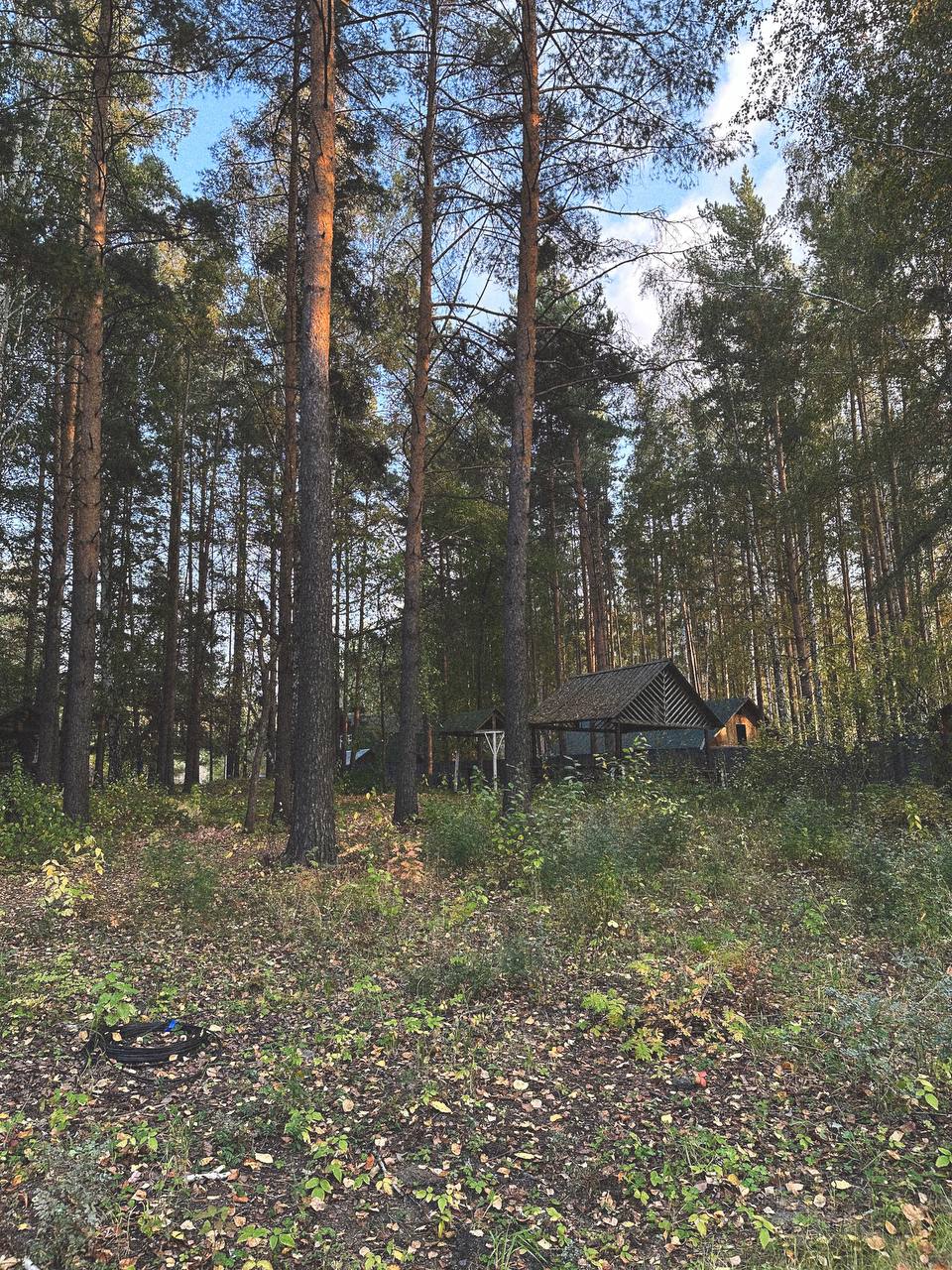 Ловим последние теплые дни 🍁🌳🍂 | Сетка — социальная сеть от hh.ru