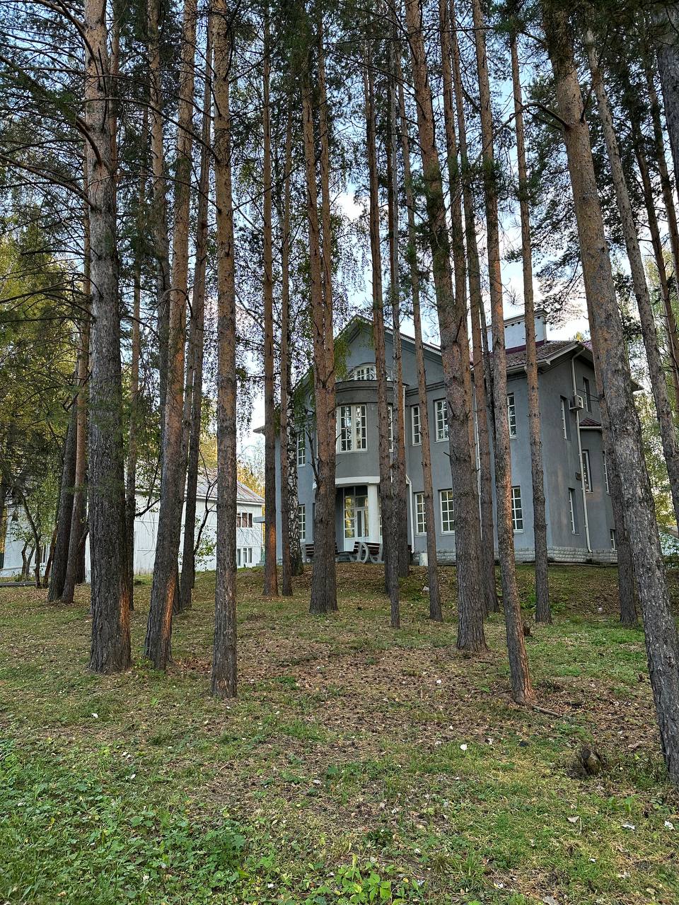 Ловим последние теплые дни 🍁🌳🍂 | Сетка — социальная сеть от hh.ru