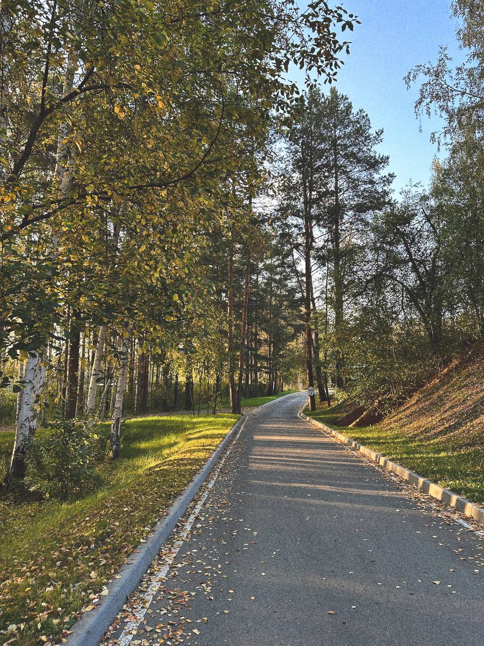 Ловим последние теплые дни 🍁🌳🍂 | Сетка — социальная сеть от hh.ru