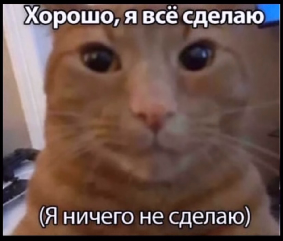 нетворкаю как могу | Сетка — социальная сеть от hh.ru
