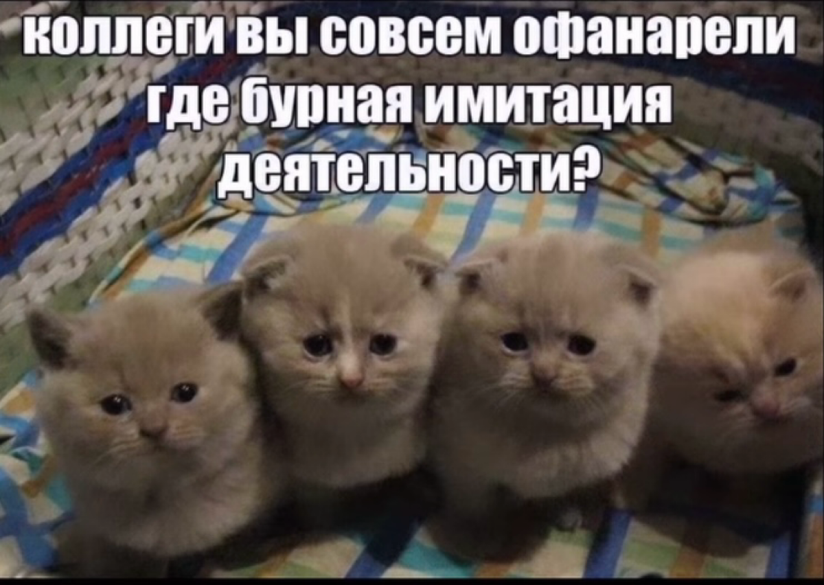нетворкаю как могу | Сетка — социальная сеть от hh.ru