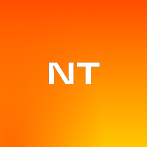 nnDev Team