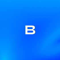 bb-test-kocheregov