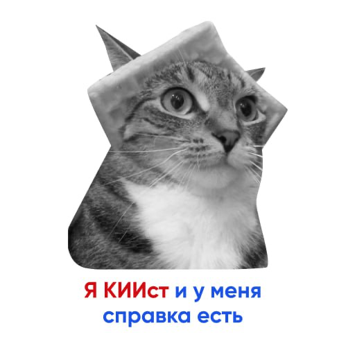 Критические информационные инфраструктуры (КИИ) | Сетка — социальная сеть от hh.ru