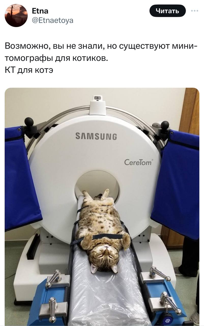 «КТ для котэ» — твиттерский поделился фотографией мини-томографа, который сделан специально для животных.
Теперь есть о чем подумать ночью.
🍕зумеры в телеграм | Сетка — социальная сеть от hh.ru