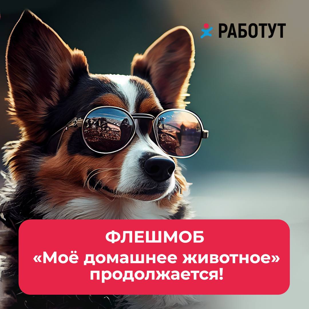 Флешмоб «Моё домашнее животное» продолжается!
Вы прислали нам так много фото и видео со своими четвероногими друзьями, но мы хотим видеть ещё больше кошечек и собачек!🥰
Напоминаем условия участия:

сн... | Сетка — социальная сеть от hh.ru