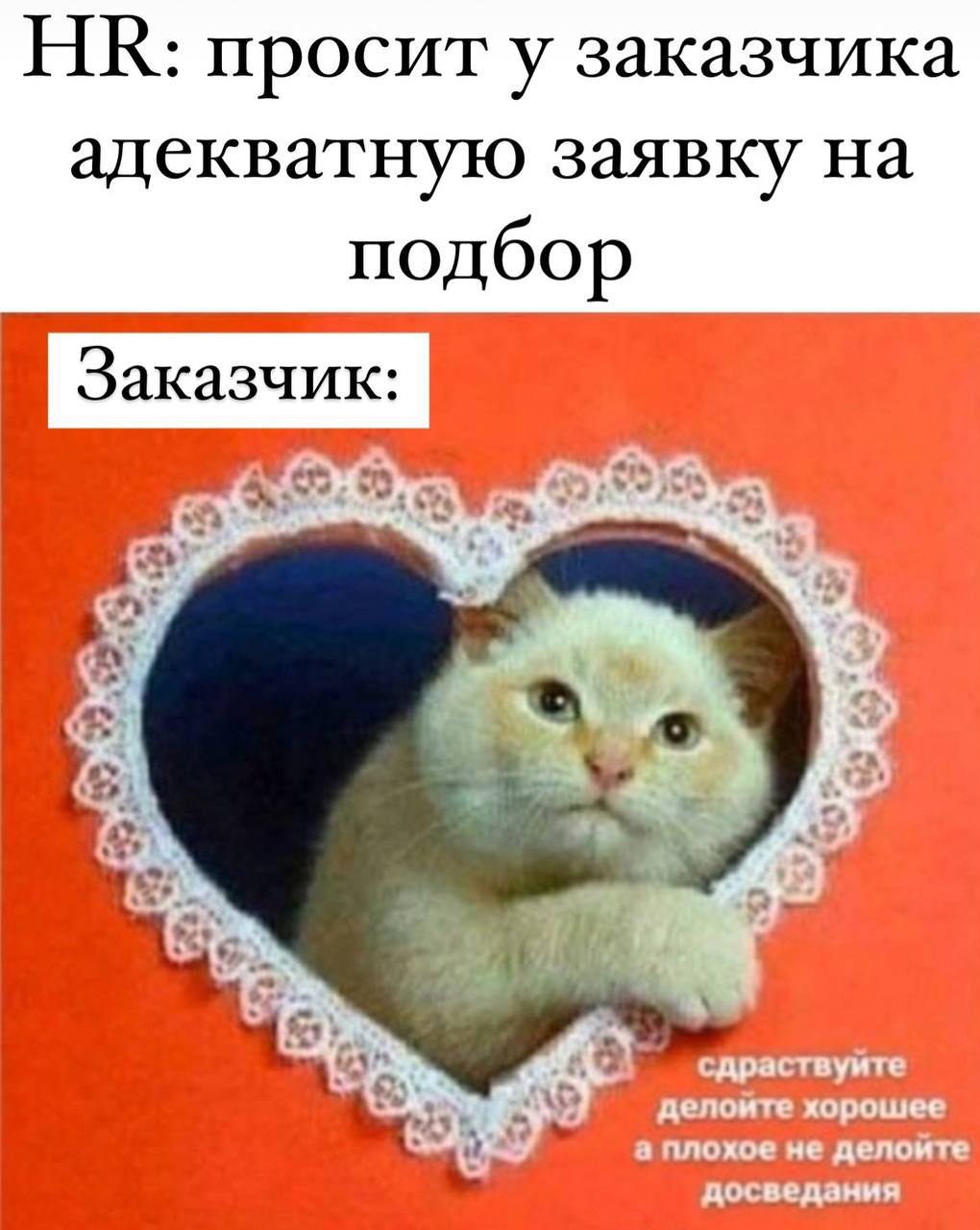 Как говорится, "нет четкого ТЗ, результат непонятен" 😆
Ставьте реакции, если:
💯 - тоже сталкивались с таким ТЗ
🗿 - не было такого
😆 - какое тз, такой и кандидат
#HR #Humanconf #юмор | Сетка — социальная сеть от hh.ru