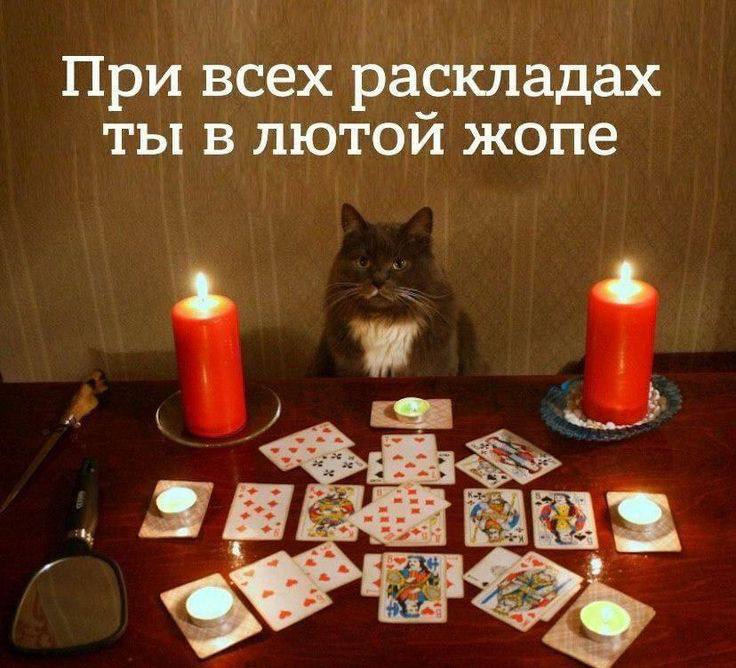Не люблю эти ваши таро и гадания. | Сетка — социальная сеть от hh.ru