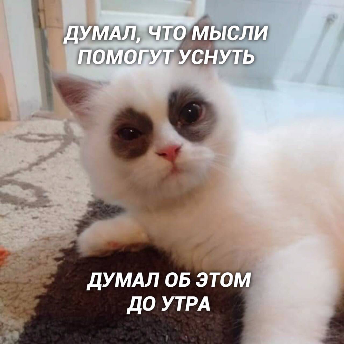 А вас какие мысли мучают перед сном?)
#смешно | Сетка — социальная сеть от hh.ru