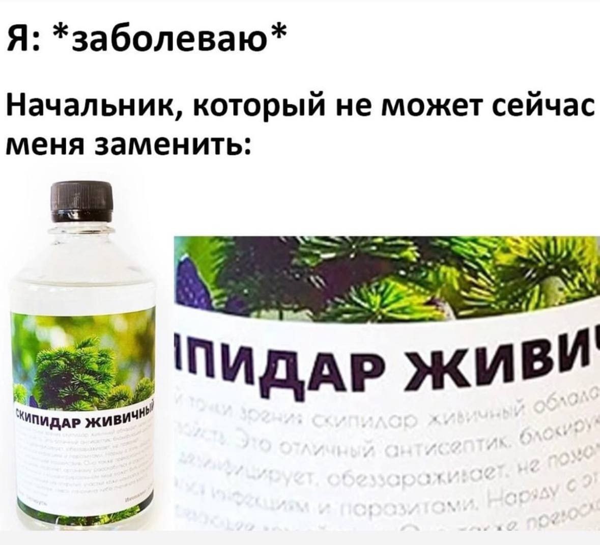 ➡️ отправь в телеге мем коллеге | Сетка — социальная сеть от hh.ru