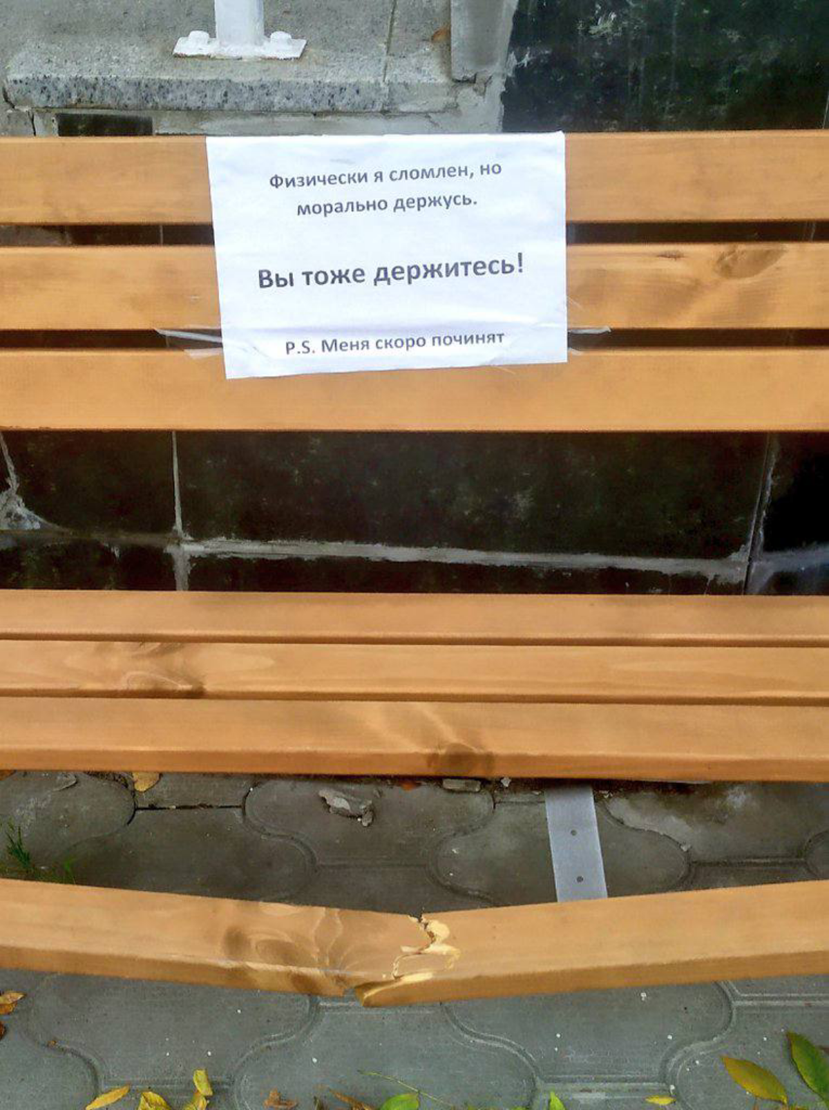 держимся на честном слове. нас всех скоро починят | Сетка — социальная сеть от hh.ru
