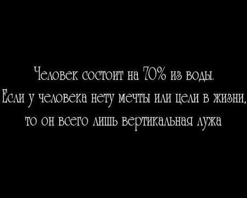 Мне так понравилось данные высказывание.
А ведь это так и есть | Сетка — социальная сеть от hh.ru