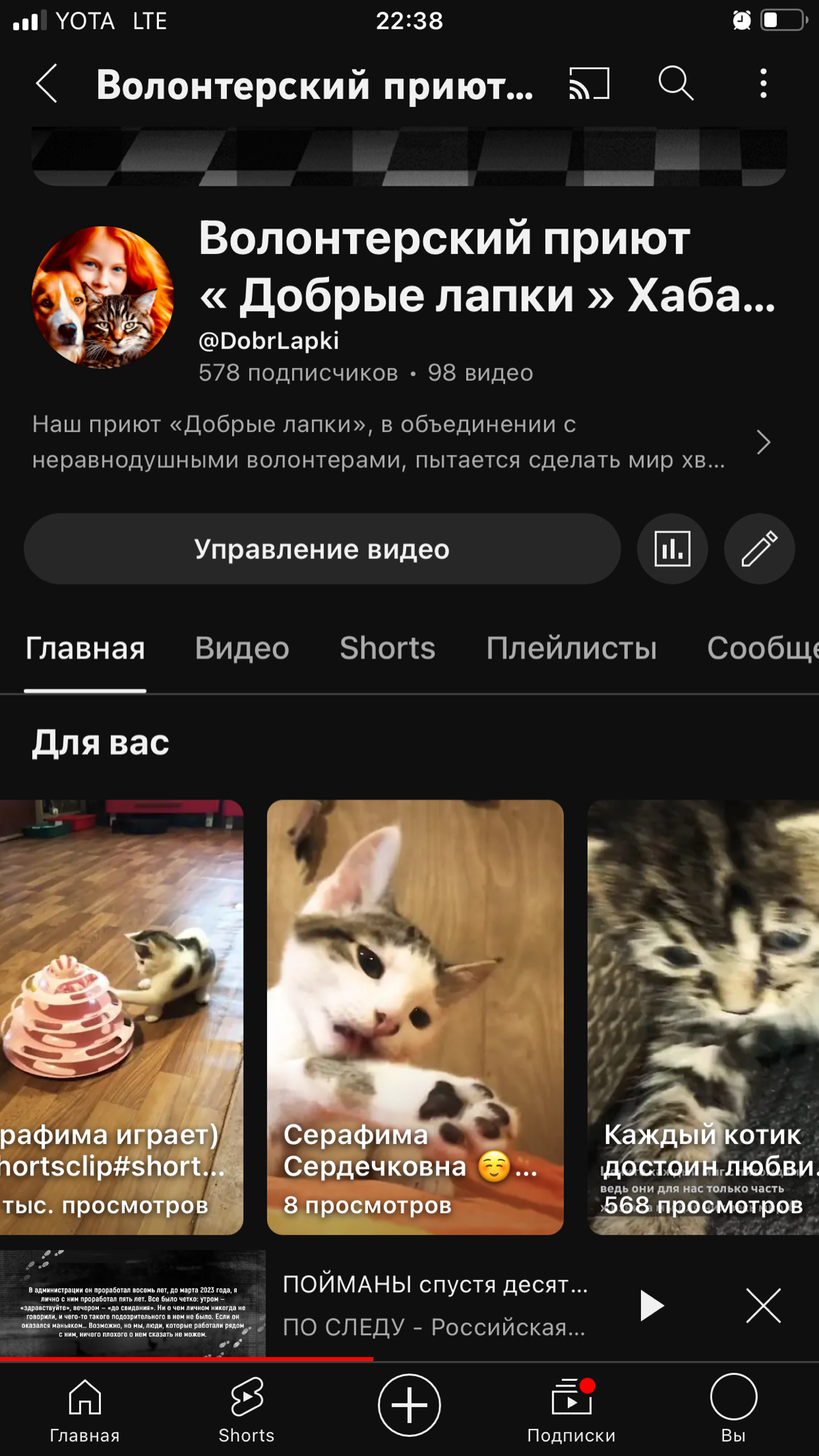 Наш приют «Добрые лапки», в объединении с неравнодушными волонтерами, пытается сделать мир хвостиков безопасным и счастливым❣️ Будем рады любой поддержке с Вашей стороны) В нас много энтузиазма, но фи... | Сетка — социальная сеть от hh.ru