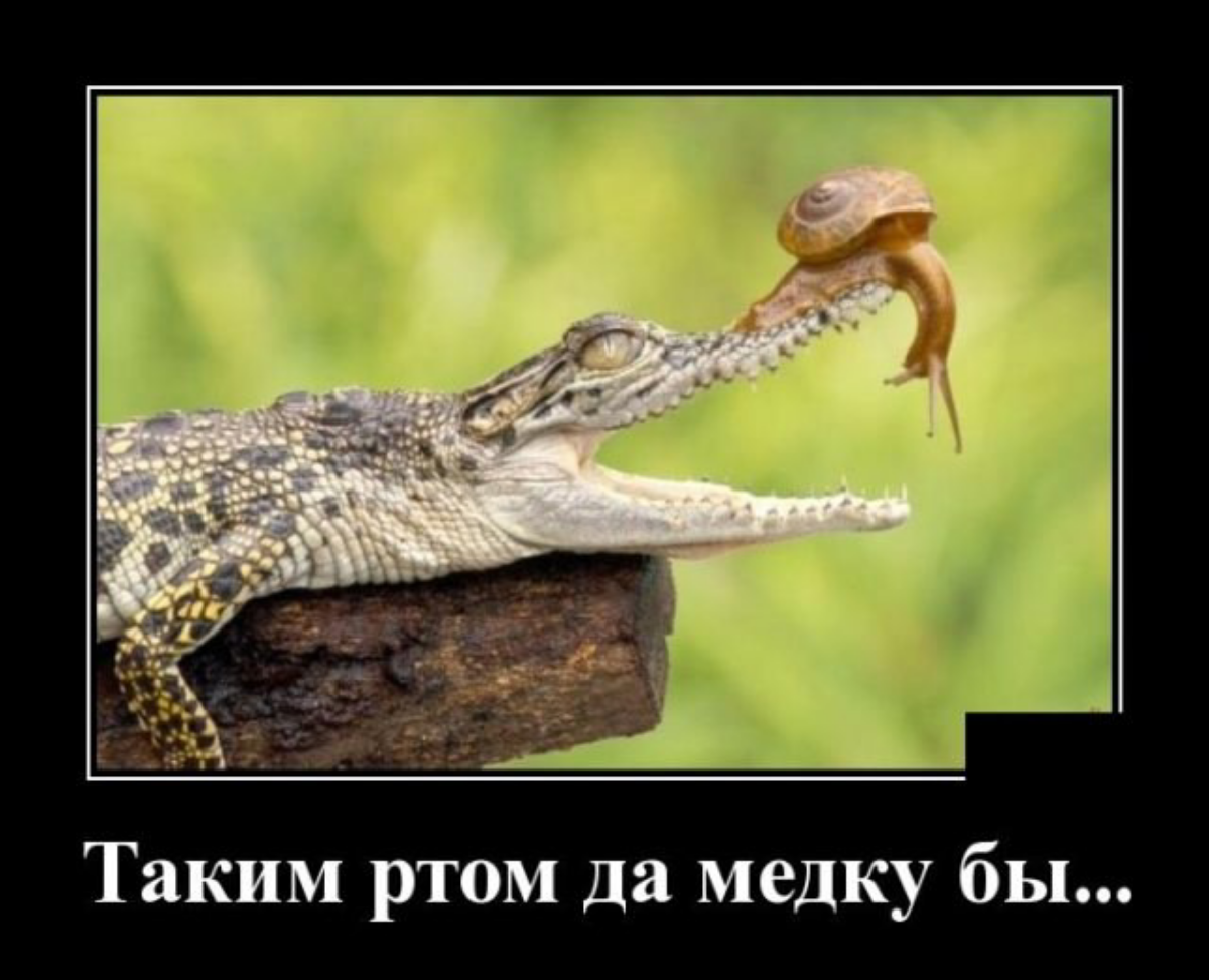 Немного об искусстве продавать и рамках делового общения.
Вот, знаете, по весне наступает период, который в народе называется "вылет" | Сетка — социальная сеть от hh.ru