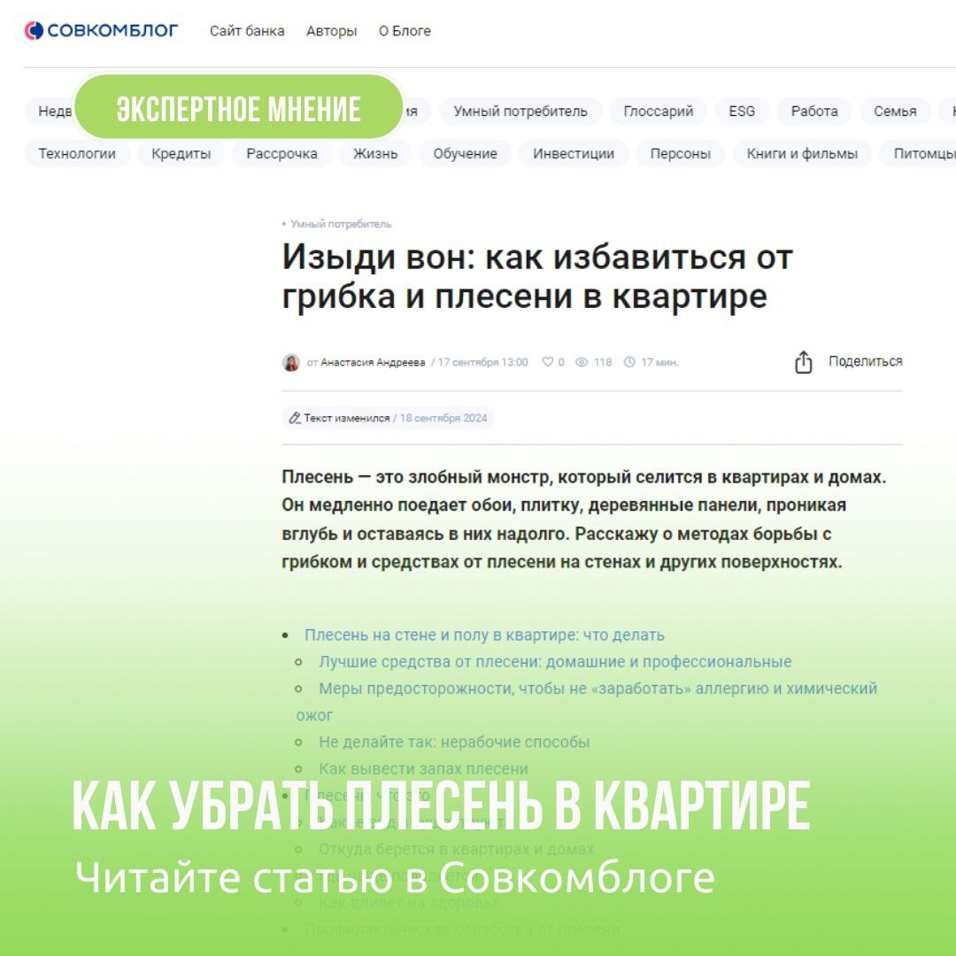 ❓Как избавиться от плесени и грибка в квартире?
Даже в новостройках можно встретить такое неприятное явление, как наличие плесени и грибка в квартире | Сетка — социальная сеть от hh.ru