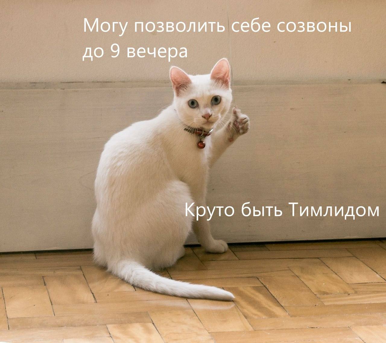 По следам прошедшей недели
Негативно отношусь к переработкам, но порой сам балуюсь, чего уж)
*Не является инвестиционной рекомендацией. | Сетка — социальная сеть от hh.ru