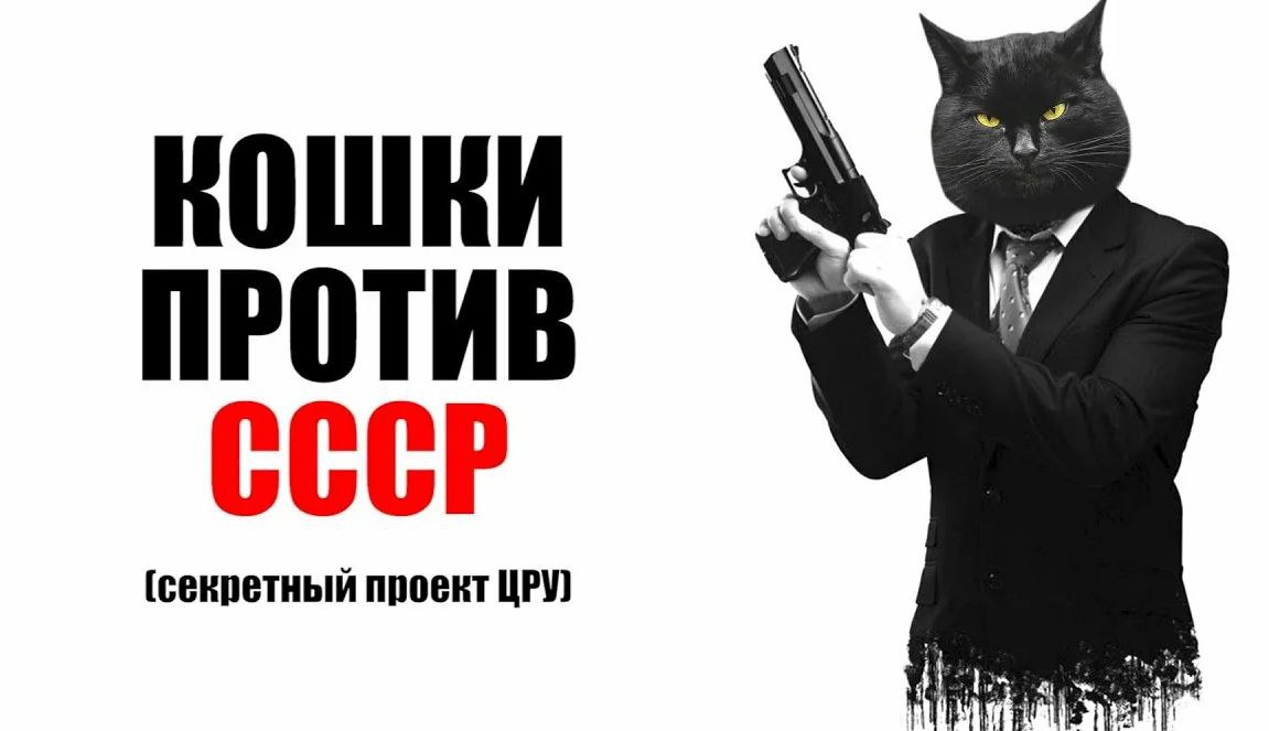История эта далека от юриспруденции, но мне она очень понравилась.
В начале 2000-х ЦРУ разрабатывало проект для прослушки и слежки с помощью котов | Сетка — социальная сеть от hh.ru