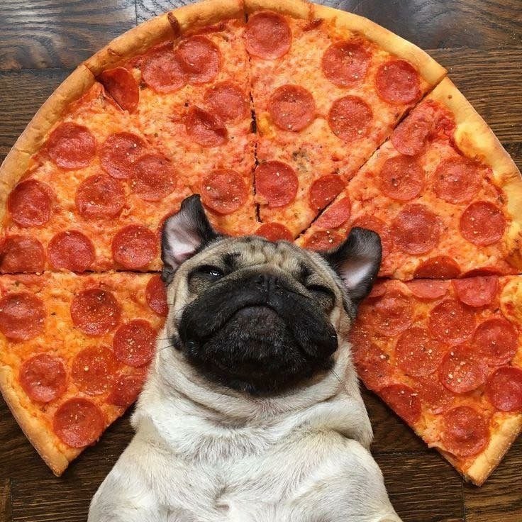 🍕 Сегодня День пепперони! Отличный повод устроить себе маленький праздник и порадоваться вкусной пиццуле. Иногда именно такие простые радости делают день ярче. | Сетка — социальная сеть от hh.ru