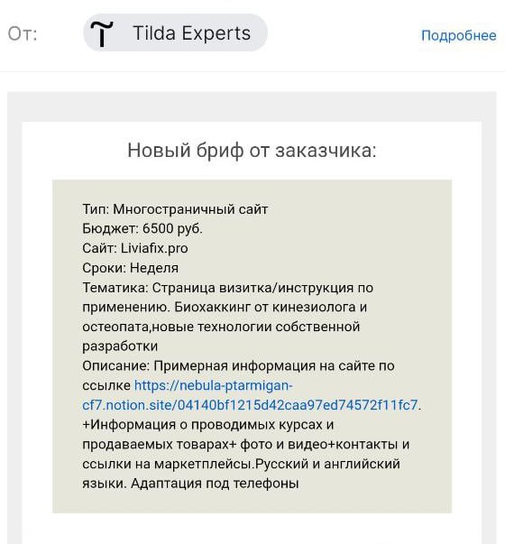 Вам пришел "Новый бриф от заказчика"
Вчера с платформы Tilda Expert (это платформа от Тильды, где дизайнеры выставляют свои работы и заказчики могут найти себе исполнителей для проектов) пришла заявка... | Сетка — социальная сеть от hh.ru