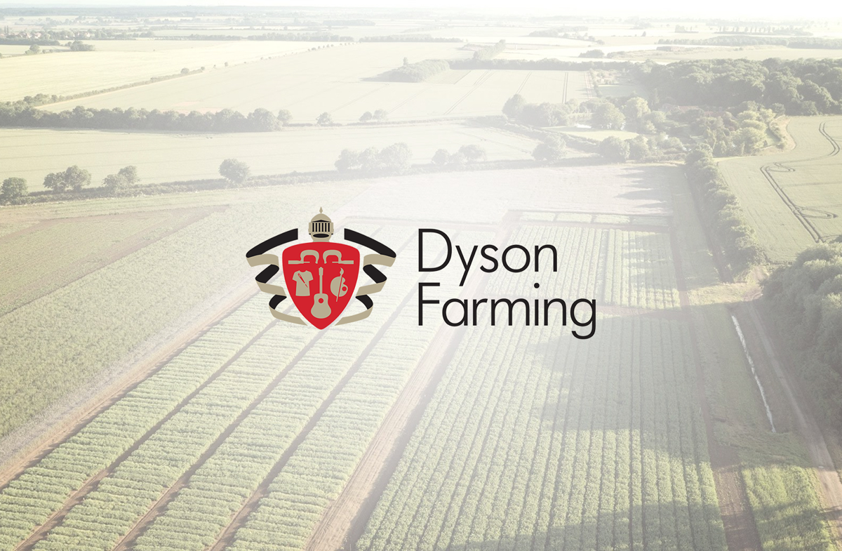 🌿 Самое вдохновляющее видео соларпанка в реальной жизни - Dyson farming | Сетка — социальная сеть от hh.ru