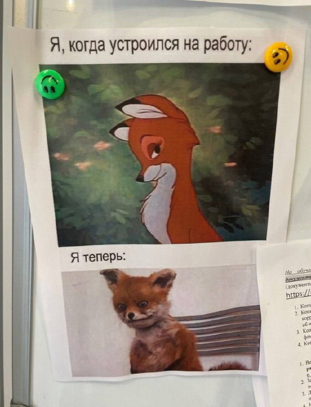 Собрали все посты недели в один:
➡️ геймеры - лучшие руководители
➡️ столкнулись с моббингом - что делать?
➡️ как выбрать работодателя, близкого по ценностям
➡️ ресурсы для аналитики
➡️ моббинг - проб... | Сетка — социальная сеть от hh.ru