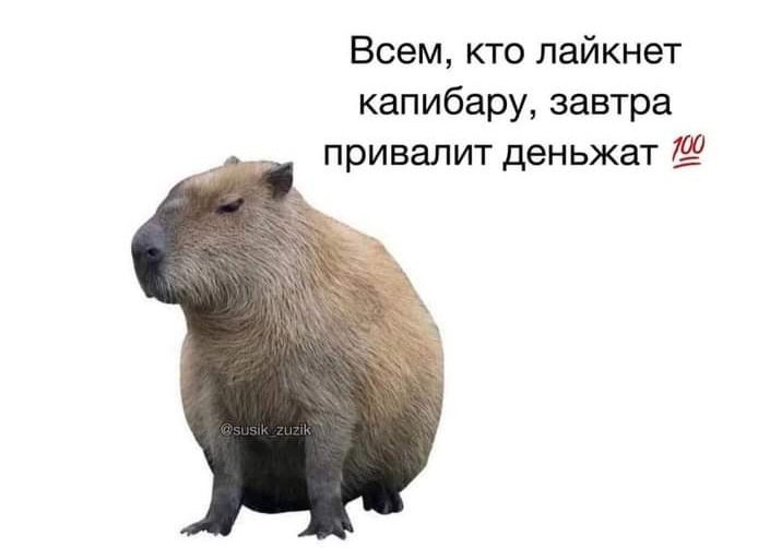 Отчёт за 17.09.2024
Прошлые дни (пятницу и понедельник) занимался сервисом проверки адресов.
Сегодня поднял VPN на "балконе" и настроил его на автозапуск при загрузке ОС | Сетка — социальная сеть от hh.ru