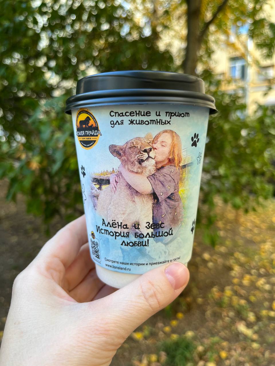 📚 ☕️ сегодня, пока мой ребёнок тренировался играть на скрипке, я читала Кронина:
главные герои пережили войну и привыкают к мирной жизни - получится ли у идеалиста Артура организовать работу шахты с у... | Сетка — социальная сеть от hh.ru