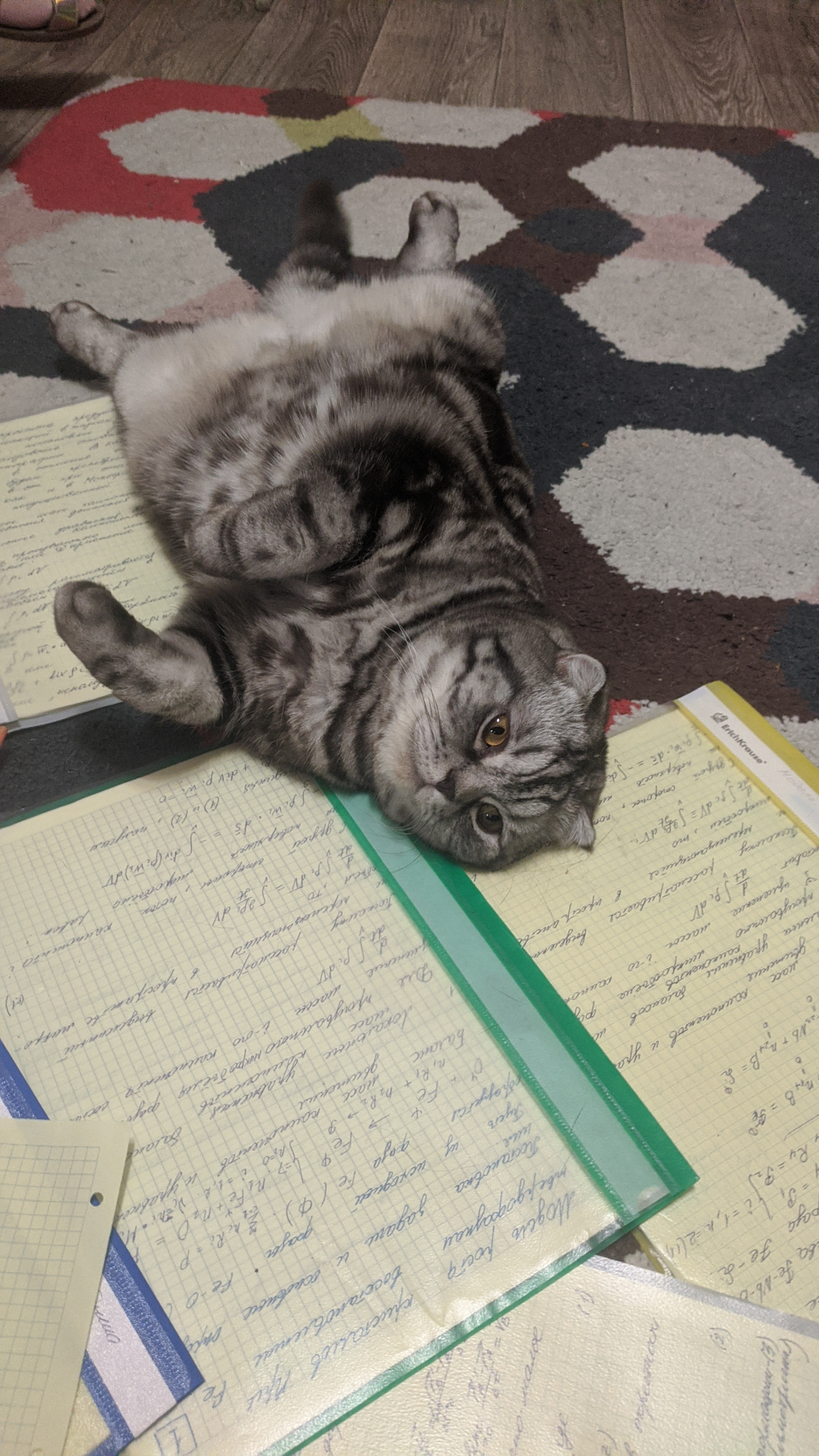 🐾 Привет, друзья! Это ваш HR-кот! 🐱✨
🔥 Удалёнка снижает мотивацию сотрудников: почему компании возвращают людей в офисы? Пандемия навсегда изменила наш подход к работе, но, похоже, не все плюсы удалён... | Сетка — социальная сеть от hh.ru