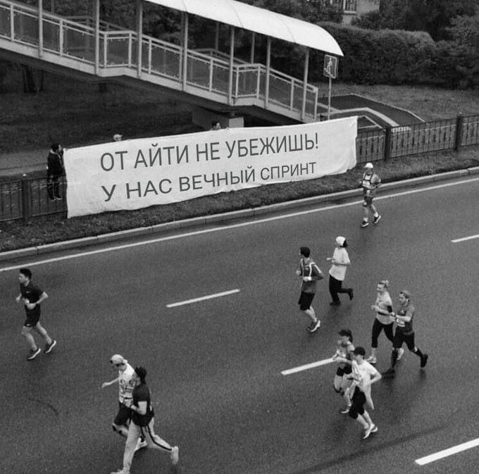 True programmer | Сетка — социальная сеть от hh.ru