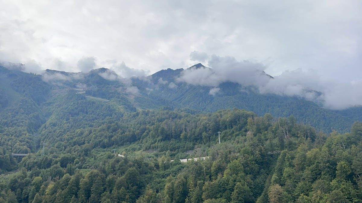 1 день New Star: 
1 | Сетка — социальная сеть от hh.ru