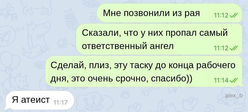 True programmer | Сетка — социальная сеть от hh.ru