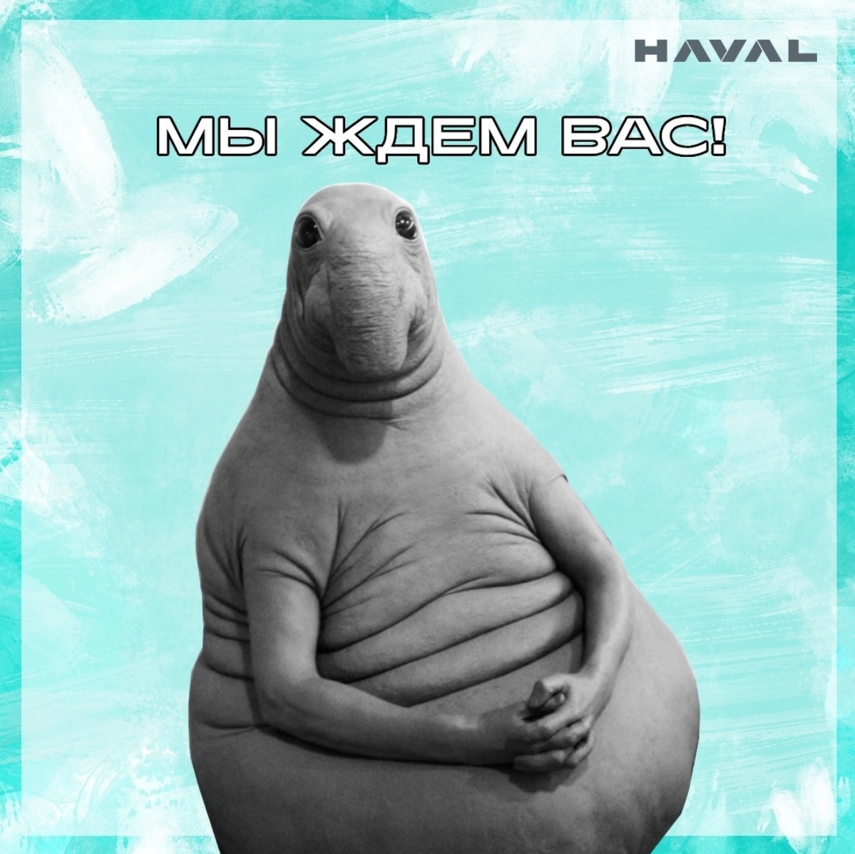 Есть диплом, но нет работы❓🧑‍🎓 | Сетка — социальная сеть от hh.ru