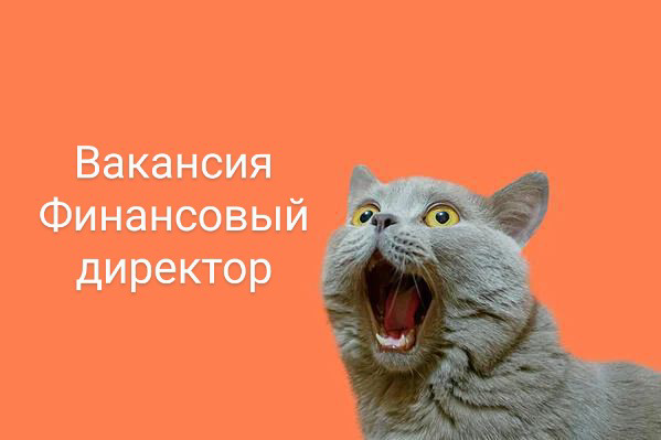 ВАКАНСИЯ: Финансовый Директор
КОМПАНИЯ: холдинговая структура
ЗАДАЧИ:
•  Разработка и реализация финансовой стратегии.
•  Развитие и руководство финансово-экономическим блоком | Сетка — социальная сеть от hh.ru
