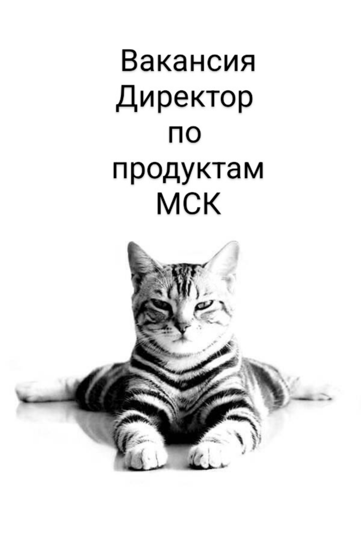 ВАКАНСИЯ: Chief Product Officer / Директор по продуктам
КОМПАНИЯ: в Sensorium
ЛОКАЦИЯ: Москва
Медиахолдинг и сейчас в поисках профессионального CPO с отличным бэкграундом в продуктовом менеджменте, зн... | Сетка — социальная сеть от hh.ru