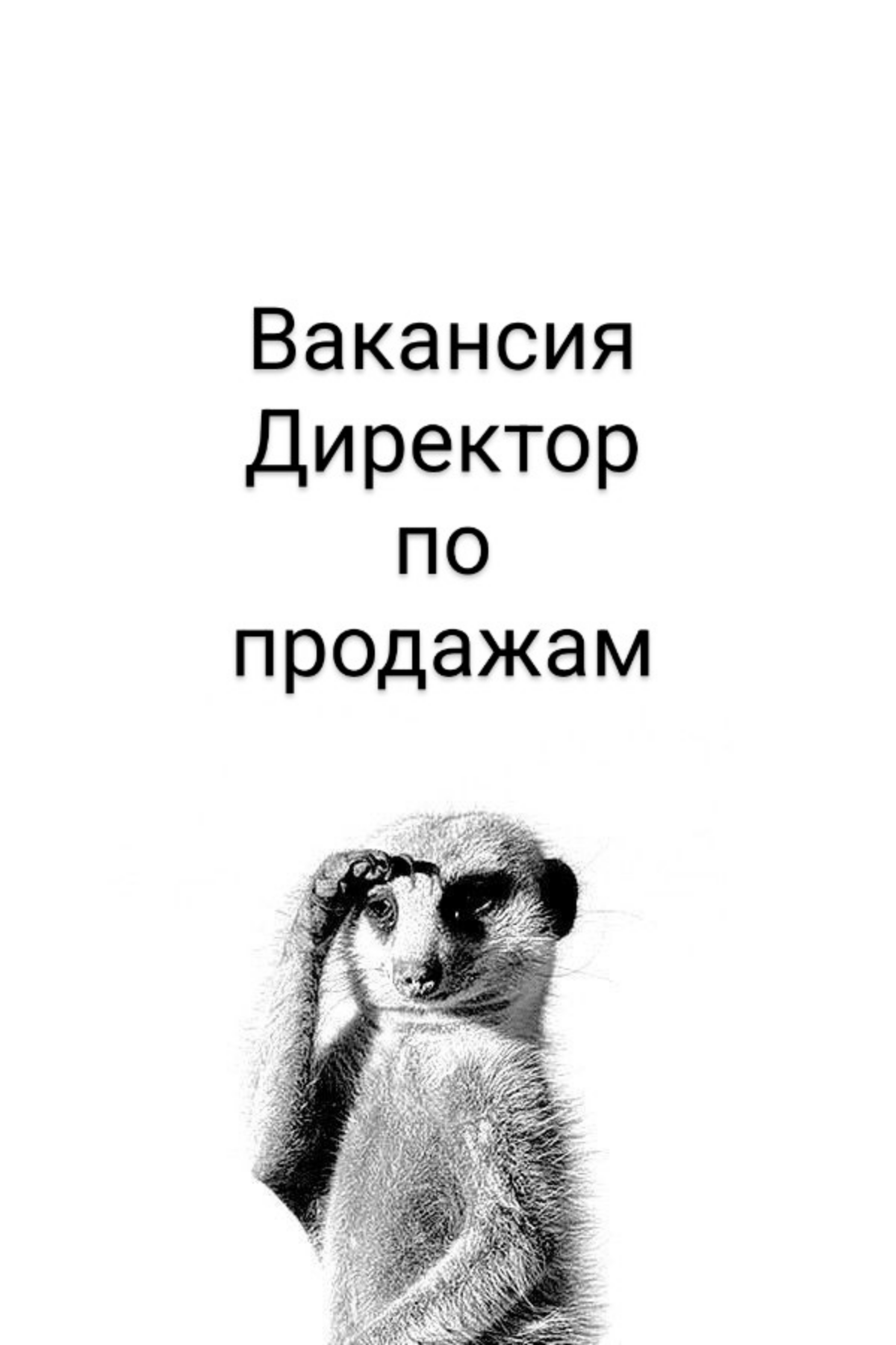 ВАКАНСИЯ: Директор по продажам
КОМПАНИЯ: в крупный производственный холдинг | Сетка — социальная сеть от hh.ru