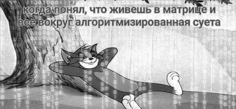Сетка — социальная сеть от hh.ru