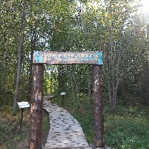 Николай Канин