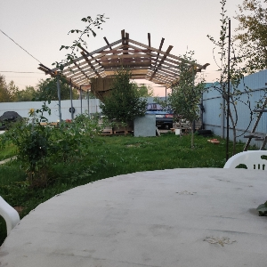 Баха Саьдулоев
