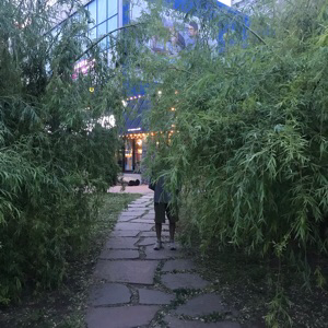 Никита Подрезов | Сетка — социальная сеть от hh.ru